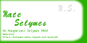 mate selymes business card