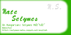 mate selymes business card